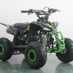 Quad NCX Furious Six Sport 125cc – Usato Garantito
